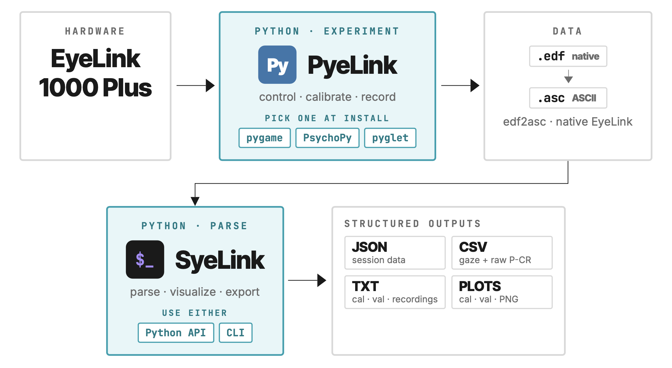 PyeLink and SyeLink poster preview